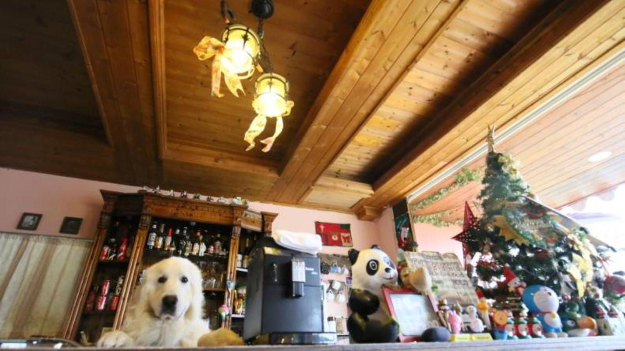 Villa Relax 仁愛郷 エクステリア 写真